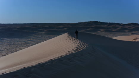 solitary figure standing on a vast desert sand dune