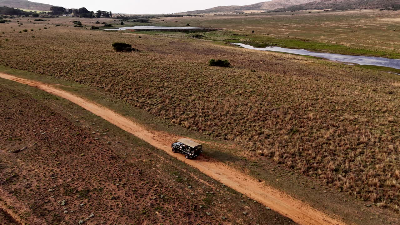 사파리 게임 드라이브 차량의 항공 촬영을 추적하는 게임 보호구역의 길