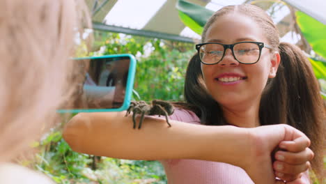 Teléfono,-Araña-Y-Amigos-Con-Una-Niña