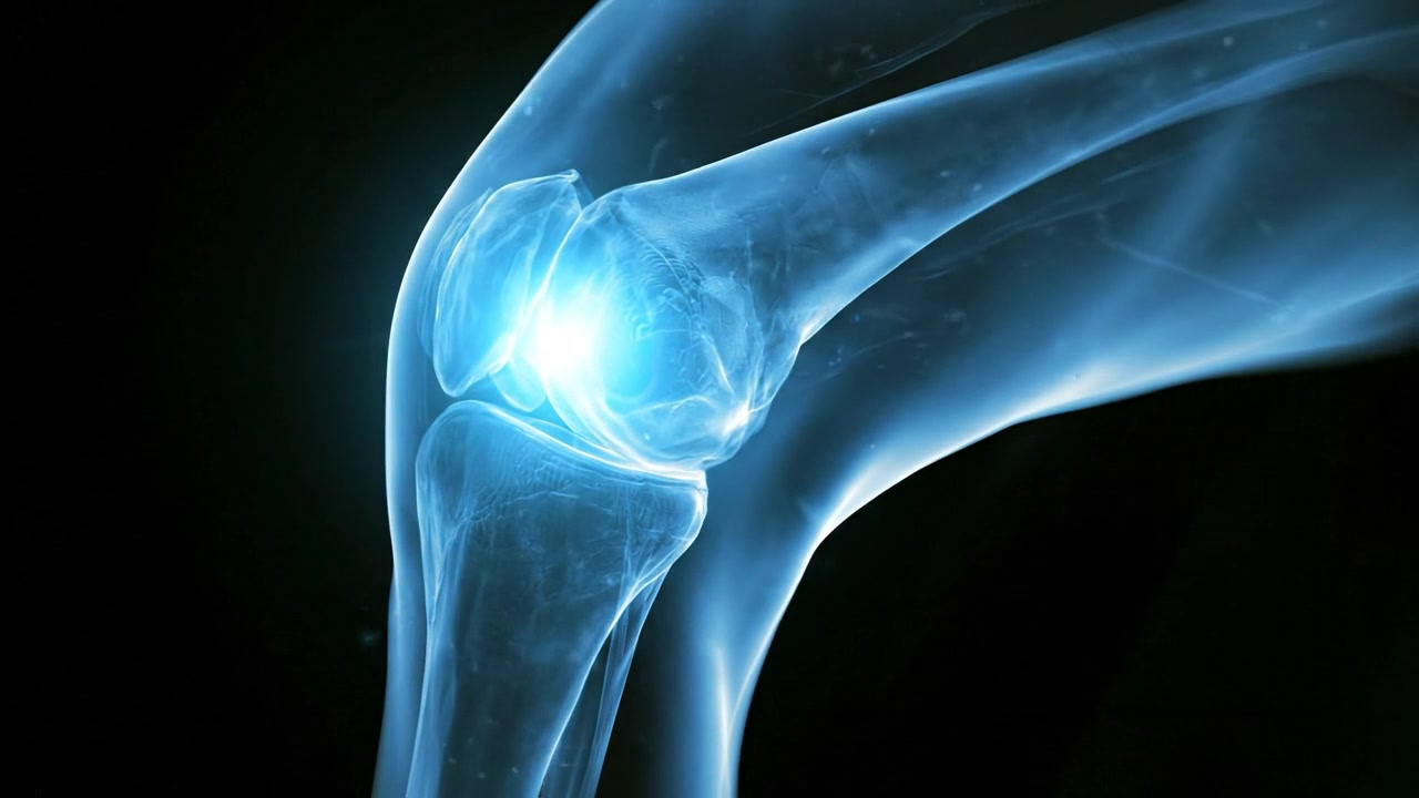 Medical knee joint radiography showing detailed bones and internal structure