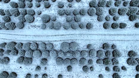 Top-down-aerial-of-Christmas-tree-farm-during-snowstorm