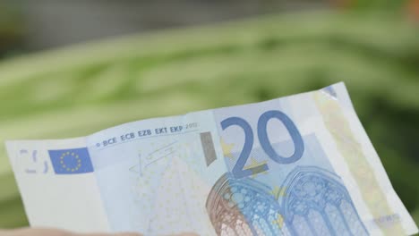 Close-up-of-hands-exchanging-a-20-Euro-bill-at-a-market,-blurred-vegetables-in-the-background