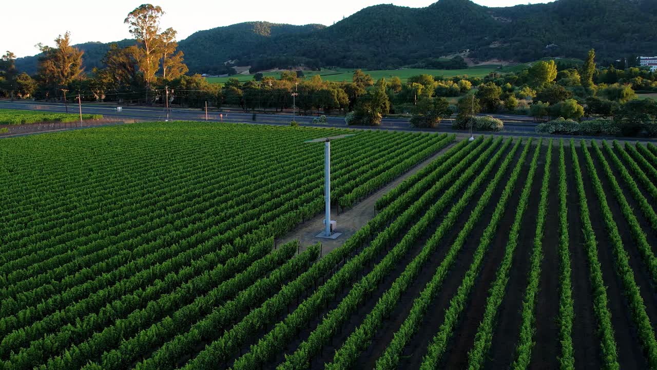 una vista aérea de un viñedo verde exuberante que muestra una impresionante puesta de sol sobre una pequeña ciudad en el valle de napa