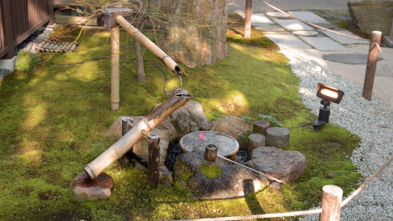 A bamboo water fountain tilts and strikes a stone in a mossy Japanese garden