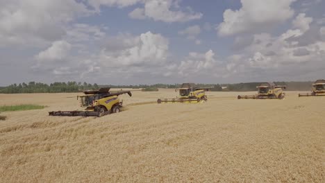 cinematic shot of a group of combine harvesters working in unison collecting golden wheat