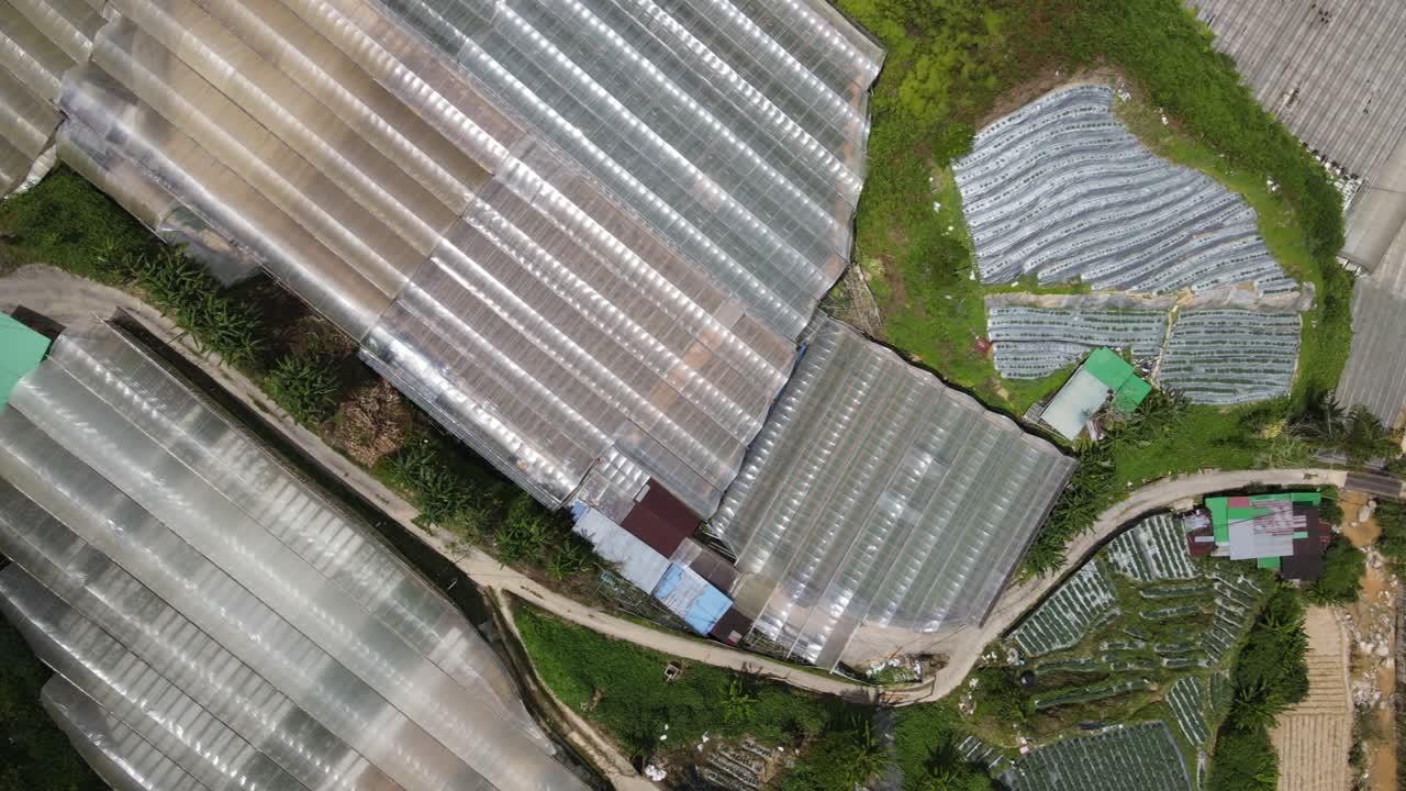 말레이시아의 카메론 하이랜드 지역 내의 브린창 지역의 일반 풍경