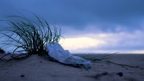 plastic bag stuck on beach grass, trash and waste litter on an empty baltic sea white sand beach, environmental pollution problem, overcast evening after the sunset, dark dramatic clouds, closeup shot