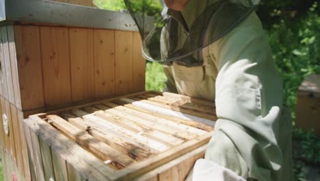 apicultor cosechando miel en el patio de abejas del apiario