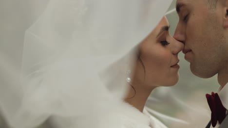 portrait of lovely newlyweds caucasian bride embracing groom, wedding couple family hugging