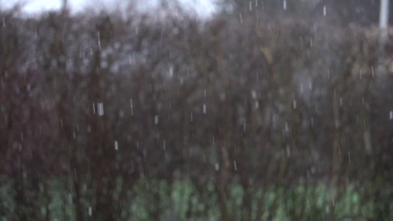 Snow falling in front of nature background