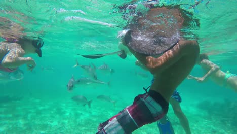 boys snorkeling with stingrays in the caribbean