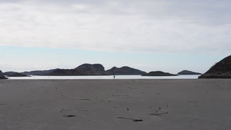 silhouetted person far away facing sea coastline, vast shoreline, zoom in