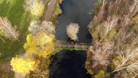 Antena-De-Arriba-Hacia-Abajo-Del-Estanque-Urbano-En-El-Parque-Con-árboles-Muertos-De-Otoño-Invierno-Alrededor