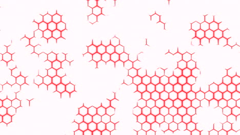 red hexagon pattern on white background