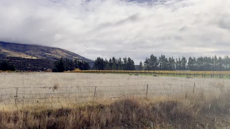 a vehicle moves past a scenic vineyard bordered by fields and mountains under cloudy skies, with steady camera movement and natural daylight enhancing rural tranquility