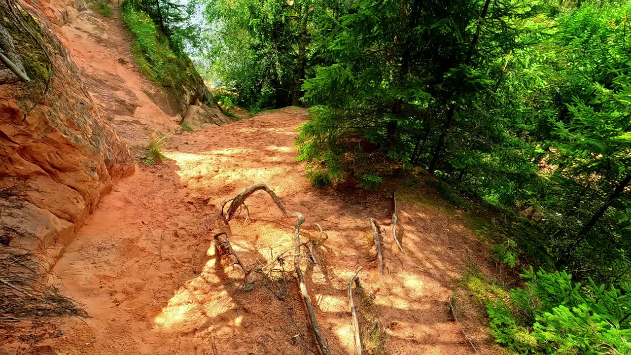 caminar dentro de la tierra camino paisaje acantilado roca pasarela, erglu acantilados klintis letonia primera persona pov tiro alrededor de los árboles, montaña de senderismo en el parque nacional de gauja