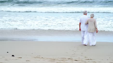 pareja de ancianos caminando por la playa