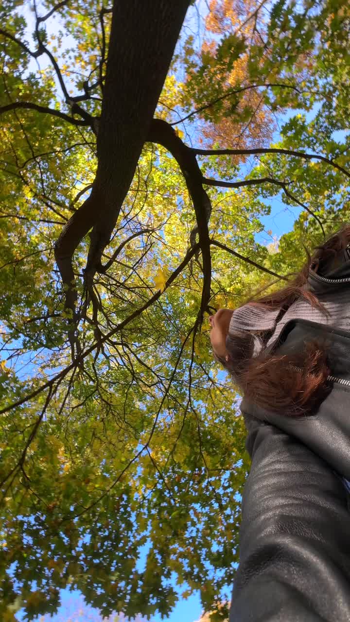 mujer caminando bajo los árboles de otoño