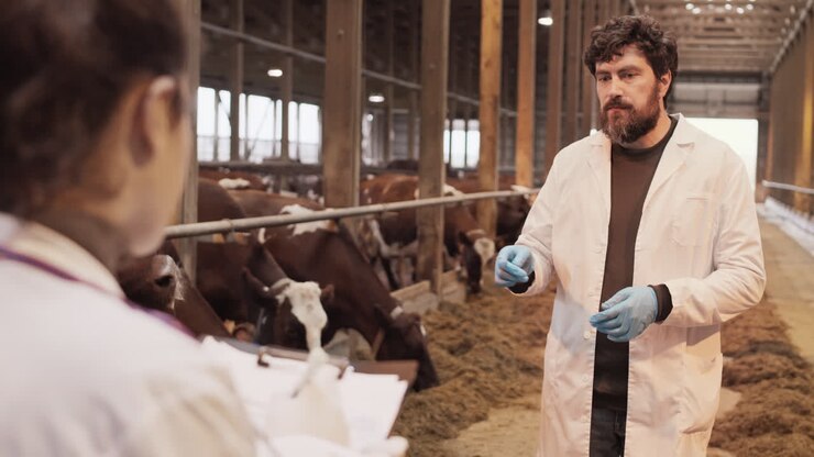 Caucasian Sanitary Inspector Talking to Colleague