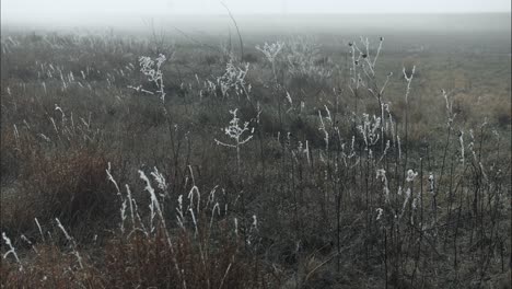 Frozen,-frost-covered-grass-on-cold-winter-morning-in-cinematic-slow-motion