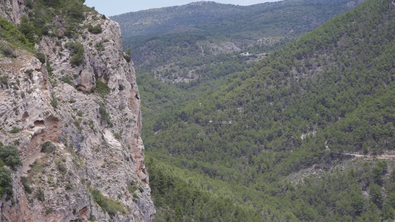 buitre dando vueltas junto a un acantilado rocoso en un valle arbolado de montaña, españa