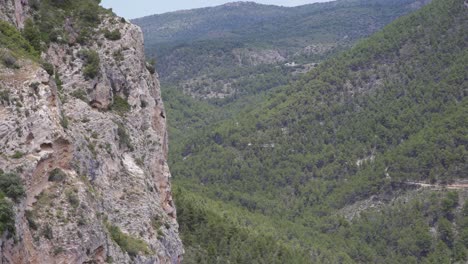 Buitre-Dando-Vueltas-Junto-A-Un-Acantilado-Rocoso-En-Un-Valle-Arbolado-De-Montaña,-España