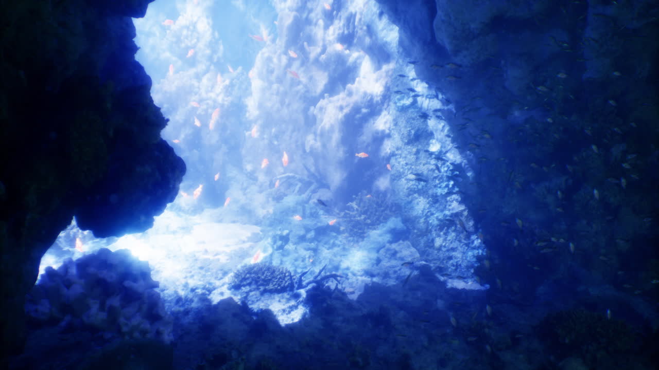 Underwater cave with schools of fish exploring a vibrant ecosystem