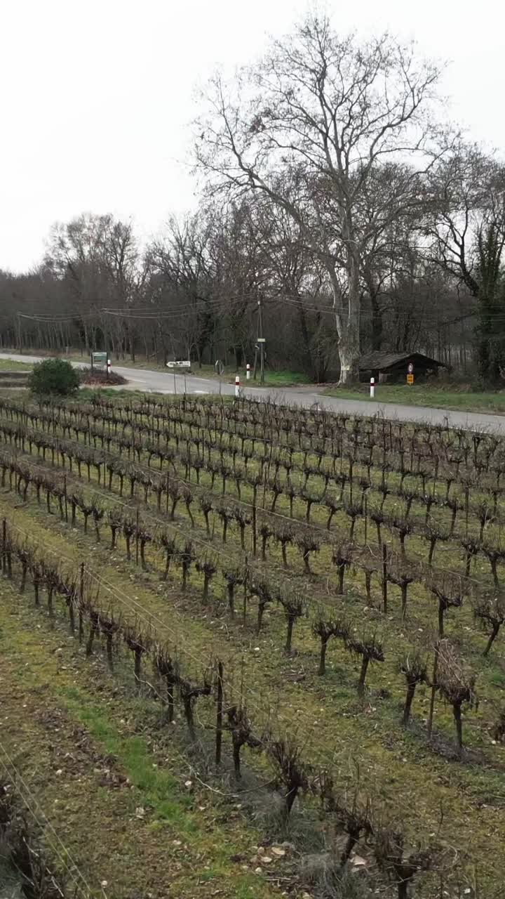 Vinmark i et landområde