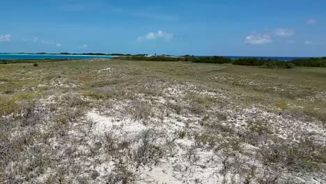 Pan-Derecha-Escénica-Cayo-De-Agua-Isla-Mar,-Palmeras,-Hierba-De-Playa-En-Playa-De-Arena-Blanca