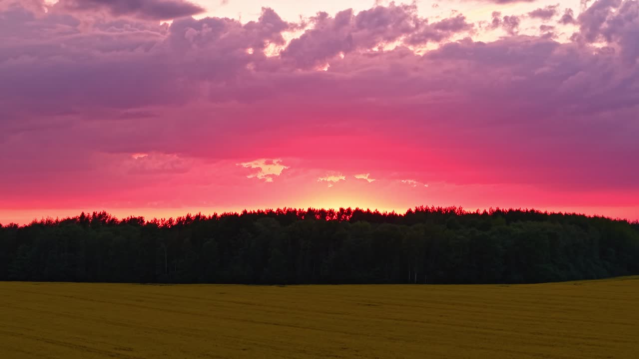 Vibrant orange sunset over wide rapeseed field with intense color and farmland texture
