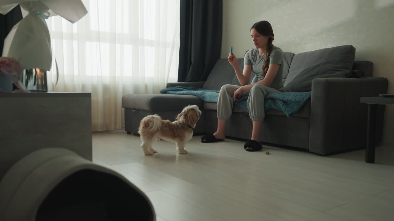Köpeğiyle kanepede oturan kadın, perdelerden süzülen yumuşak gün ışığı, kanepeye serilmiş rahat battaniye, yan sehpada parlayan küçük lamba, evcil hayvan yatağının yakınında zemini keşfeden rahat, oyuncu küçük köpek, sakin.