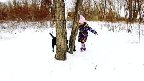 little girl playing with her black labrador on snow