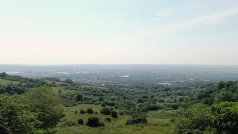 Drohnenflug-über-Wiesen-Und-Bäume-Richtung-Stadt-Mit-Dunst-Am-Horizont