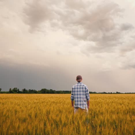 Farmer-In-A-Field-Of-Wheat-Against-The-Background-Of-A-Stormy-Sky
