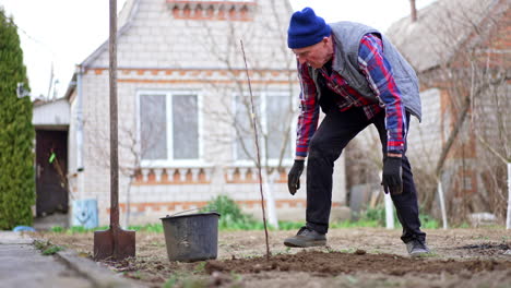 caucasian farmer is thumbing the ground around the newly-planted tree. creating a fruit garden near the house.