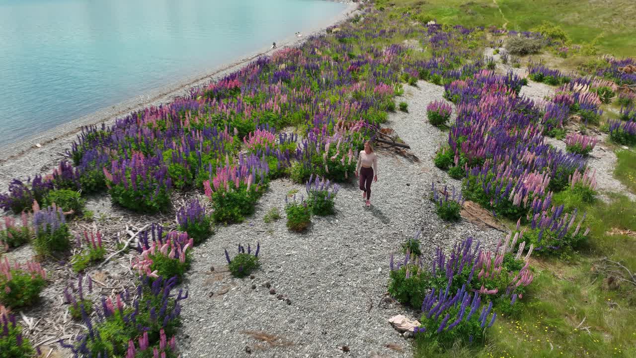 mujer en forma con ropa deportiva caminando por la orilla del lago de guijarros con flores de lupino
