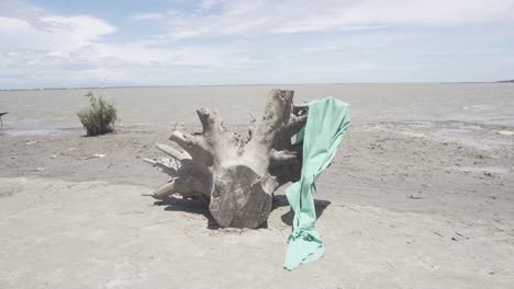 hermosa vista con una pieza de madera en la orilla de un río