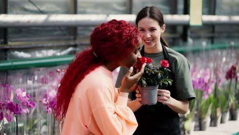 Fröhliche-Floristin-Hilft-Kundin-Bei-Der-Pflanzenauswahl-Im-Blumenladen