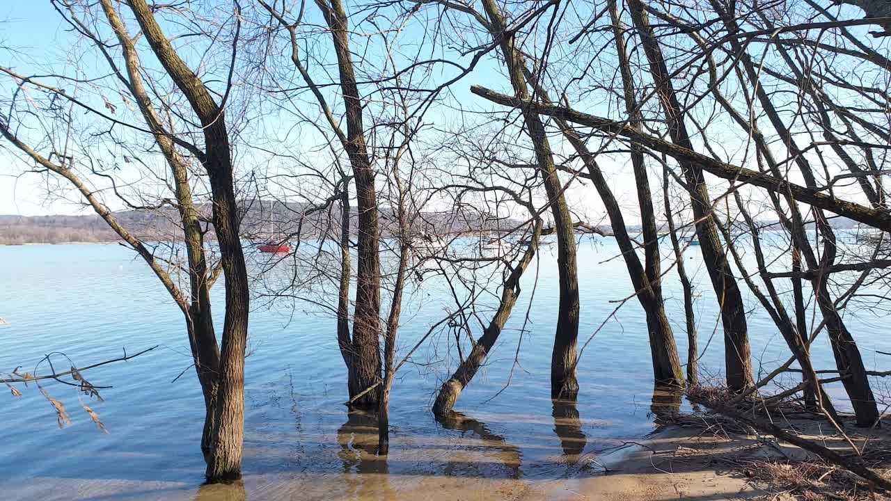 Ground level walk toward lake maggiore through trees and branches