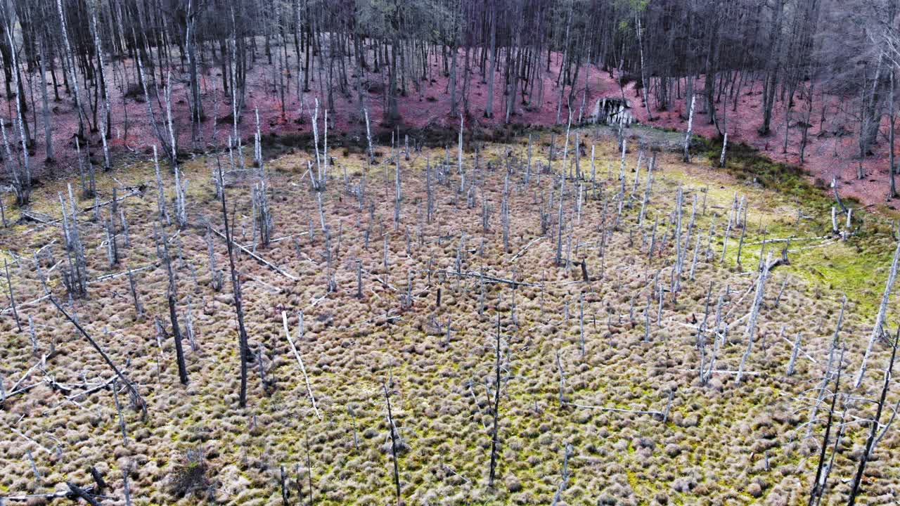 lublewo gdańskie, 폴란드의 호박 산 성역