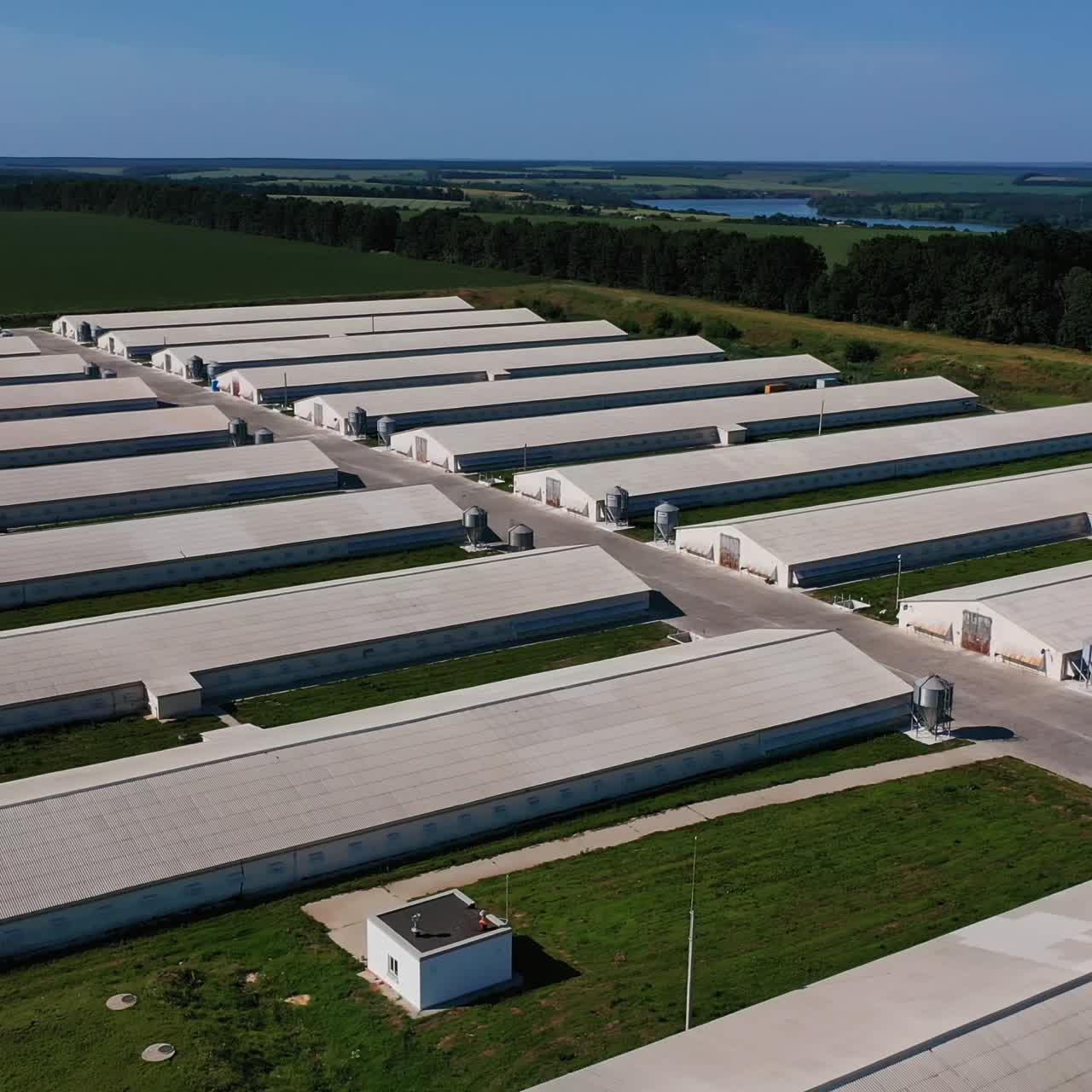 Large stables for organic farming in the rural area. Present day animal breeding business. Green fields and forests at the background. Aerial view