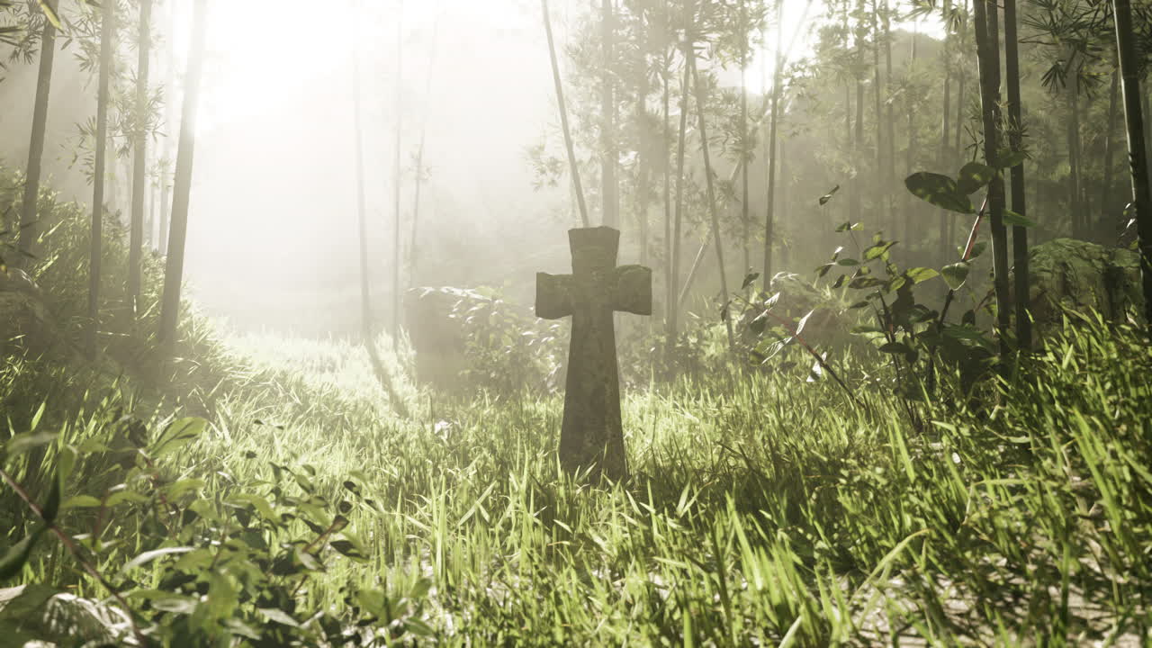 안개 인 대나무 숲 속 의 돌 십자가