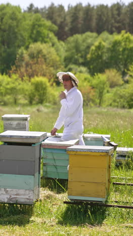 beekeeper working at an apiary