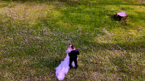 A wide aerial shot captures a bride in a flowing white gown and a groom in a dark suit standing together in a flower-speckled meadow, symbolizing romance, unity, and celebration