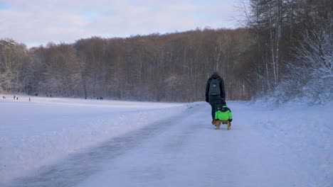 Joven-Madre-Tirando-De-Su-Hijo-En-Trineo-Mientras-Camina-Por-El-Bosque-De-Las-Maravillas-Invernales-Durante-El-Invierno-En-Baviera,-Alemania