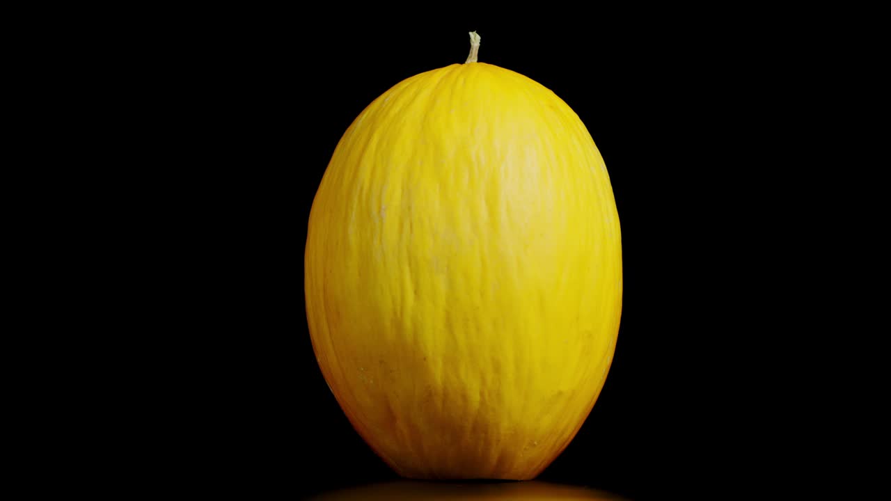 익은 멜론 전체가 천천히 회전합니다.