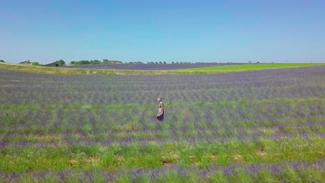 Mujer-Joven-Caminando-A-Través-De-Filas-De-Hermosa-Lavanda-En-La-Impresionante-Campiña-De-Provenza,-Francia