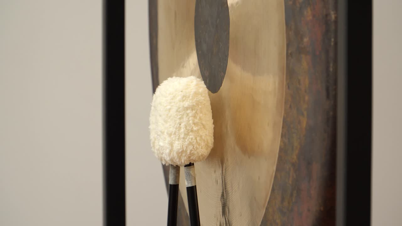 Gong playing with a roller coaster in the background, close-up shot