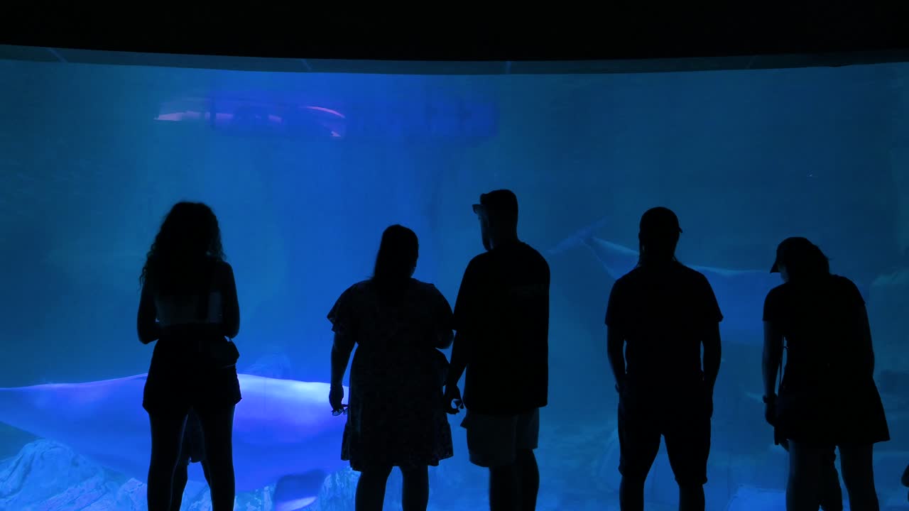 Silhouetted People Watching Fish in a Large Aquarium