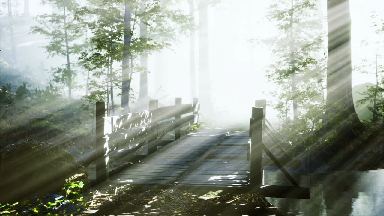 Bridge of light crossing a serene forest path at dawn